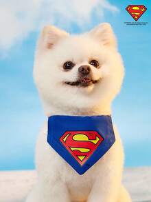 SUPERMAN X PETSIN Classic Logo Print Adjustable Buckle Blue Bib For Dogs & Cats