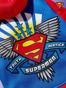 SUPERMAN X PETSIN 1pc Colorblock Printed Raglan Sleeve Hoodie, Fashionable & Suitable For Cats & Dogs - Blue - View 3