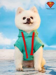 SUPERMAN X PETSIN 1pc Vintage Illustration Print Lake Green Sleeveless Hooded Stylish Fashion Sweatshirt For Pets