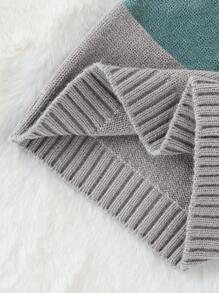 SHEIN Vintaside Kids Baby Boy Colorblock Sweater And Knit Pants Set, Autumn/Winter Fall - Light Grey - View 6