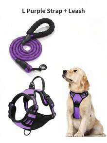 Hundsele, justerbar mjuk vadderad väst, reflekterande oxfordväst med kvävningsskydd, handtag och bilbältesögla (valfritt) – Inkluderar gratis kraftigt koppel på 1,5 meter