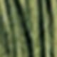 xanh quân đội