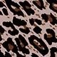 MultiWarna