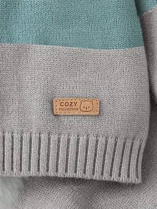 SHEIN Vintaside Kids Baby Boy Colorblock Sweater And Knit Pants Set, Autumn/Winter Fall - Light Grey - View 5