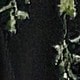 màu đen