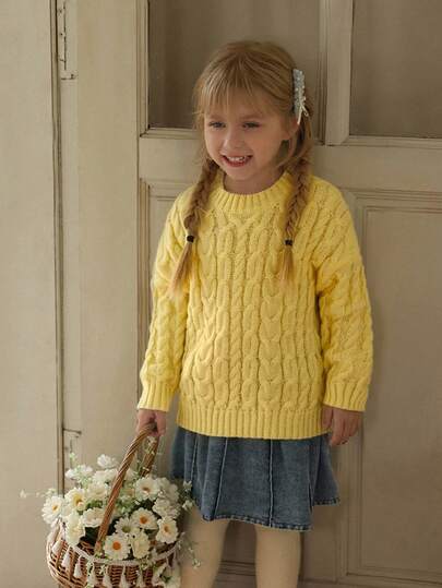 Young Girl Casual Twist Cable Pattern Drop Shoulder Long Sleeve Sweater, Autumn Fall Winter