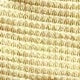 خردل الأصفر