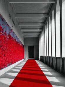 SHEIN Thảm cưới, thảm đỏ mật độ cao và thảm trắng dày dùng một lần, chất lượng tốt, phù hợp cho nhiều dịp lễ kỷ niệm. - Đỏ - Xem 3