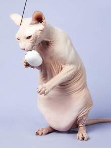 PETSIN 1pc/2pcs/3pcs Randomly Sent Handmade Feather & Linen & Wood Cat Teaser With Bell For Playing - Multicolor - View 7