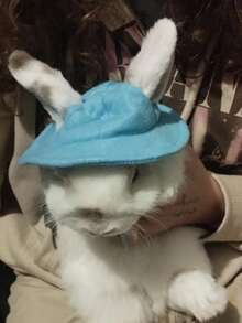 1 buah Topi Hewan Peliharaan Lucu, Topi Beludru Berhias, Topi Kain Kelinci & Hamster, Topi Matahari Hewan Peliharaan, Hiasan Kepala Kelinci dengan Lubang Telinga, Hiasan Kepala Hewan Peliharaan Kecil yang Menggemaskan - MultiWarna - View 14