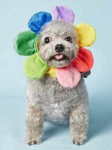 PETSIN 花朵設計寵物頭飾