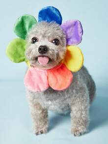 PETSIN 花朵設計寵物頭飾