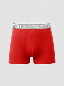 10pcs Men's Soft Breathable Comfortable Letter Waistband Briefs  Multipack Underwear - Multicolor - View 7