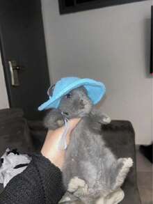 1 buah Topi Hewan Peliharaan Lucu, Topi Beludru Berhias, Topi Kain Kelinci & Hamster, Topi Matahari Hewan Peliharaan, Hiasan Kepala Kelinci dengan Lubang Telinga, Hiasan Kepala Hewan Peliharaan Kecil yang Menggemaskan - MultiWarna - View 10