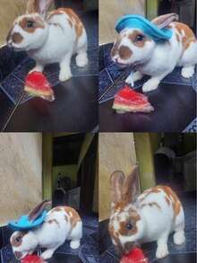 1 buah Topi Hewan Peliharaan Lucu, Topi Beludru Berhias, Topi Kain Kelinci & Hamster, Topi Matahari Hewan Peliharaan, Hiasan Kepala Kelinci dengan Lubang Telinga, Hiasan Kepala Hewan Peliharaan Kecil yang Menggemaskan - MultiWarna - View 16