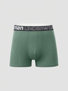 10pcs Men's Soft Breathable Comfortable Letter Waistband Briefs  Multipack Underwear - Multicolor - View 8