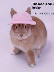 1 buah Topi Hewan Peliharaan Lucu, Topi Beludru Berhias, Topi Kain Kelinci & Hamster, Topi Matahari Hewan Peliharaan, Hiasan Kepala Kelinci dengan Lubang Telinga, Hiasan Kepala Hewan Peliharaan Kecil yang Menggemaskan - MultiWarna - View 13