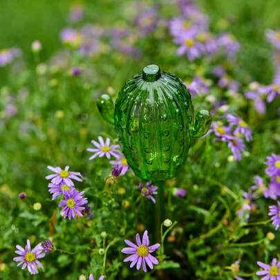 Cirelle 1PC Summer Glass Cactus Watering Ball For Plants | Garden Decor, Pot Plant Waterer Self Watering Planter | Insert For Home Indoor Outdoor Garden Patio Hanging Flower Spike Decoration | Gift For Plant Lovers (Multiple Style Options), Rama Comfort Home, Gifts For Parents, Special Gift, Housewarming Gift
