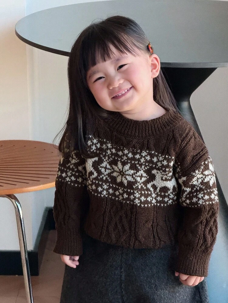 Baby Girls' Crew Neck Contrast Color Cartoon Print Long Sleeve Sweater Fall,Winter Toddler Girls Clothes