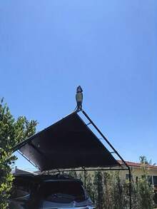 SHEIN 1个旋转头猫头鹰稻草人，塑料驱鸟器，户外害虫防治设计花园保护器，户外装饰品，防松鼠和老鼠！非常适合您的花园、门廊或阳台 - 彩色 - 查看 5