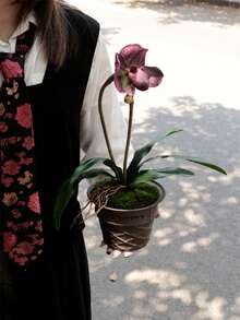 Joivida 1pc Original Design Ice Cream Cone-Shaped Ceramic Flower Pot, Creative & Exquisite Plant Pot, Stylish & High-End, Ideal For Home Décor, Outdoor Balcony Succulent Planter, Gift Present, Garden Planting Pot - Multicolor - View 4