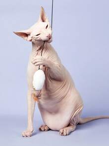 PETSIN 1pc/2pcs/3pcs Randomly Sent Handmade Feather & Linen & Wood Cat Teaser With Bell For Playing - Multicolor - View 8