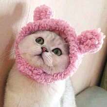 1pc Cute Pet Cat/Dog Ear Hat, Funny Bear Headdress/Headgear, Adjustable Soft Small Pet Headwear For Cat Puppy Dog, Panda Ear Hat, Pet Warm Headwear For Winter - Multicolor - View 9