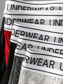 5pcs/Pack Lightweight, Comfortable, Casual, Sporty, Fashionable, Young, Dynamic Elastic Band Men's Boxer Briefs - Multicolor - View 7