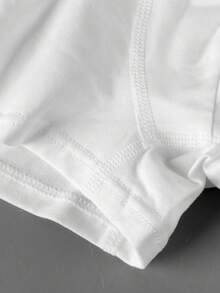 10条装男童纯白色基本款休闲简约棉质柔软舒适三角裤内裤 - 白色 - 查看 7