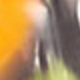 Bạc