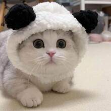 1pc Cute Pet Cat/Dog Ear Hat, Funny Bear Headdress/Headgear, Adjustable Soft Small Pet Headwear For Cat Puppy Dog, Panda Ear Hat, Pet Warm Headwear For Winter - Multicolor - View 13