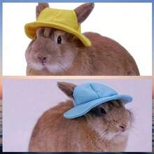 1 buah Topi Hewan Peliharaan Lucu, Topi Beludru Berhias, Topi Kain Kelinci & Hamster, Topi Matahari Hewan Peliharaan, Hiasan Kepala Kelinci dengan Lubang Telinga, Hiasan Kepala Hewan Peliharaan Kecil yang Menggemaskan - MultiWarna - View 20