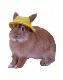 1 buah Topi Hewan Peliharaan Lucu, Topi Beludru Berhias, Topi Kain Kelinci & Hamster, Topi Matahari Hewan Peliharaan, Hiasan Kepala Kelinci dengan Lubang Telinga, Hiasan Kepala Hewan Peliharaan Kecil yang Menggemaskan - MultiWarna - View 23