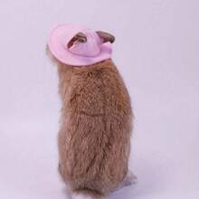 1 buah Topi Hewan Peliharaan Lucu, Topi Beludru Berhias, Topi Kain Kelinci & Hamster, Topi Matahari Hewan Peliharaan, Hiasan Kepala Kelinci dengan Lubang Telinga, Hiasan Kepala Hewan Peliharaan Kecil yang Menggemaskan - MultiWarna - View 21