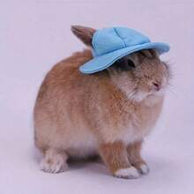 1 buah Topi Hewan Peliharaan Lucu, Topi Beludru Berhias, Topi Kain Kelinci & Hamster, Topi Matahari Hewan Peliharaan, Hiasan Kepala Kelinci dengan Lubang Telinga, Hiasan Kepala Hewan Peliharaan Kecil yang Menggemaskan - MultiWarna - View 17