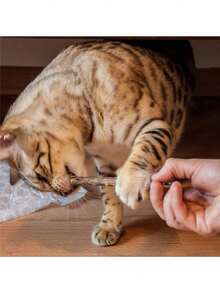 Cat Teeth Cleaning Stick - Cat, Mint, Fish Flavored Cat Chewing Toy For Dental Care