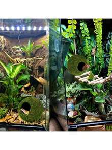 1pc Mossy Caves, Artificial Green Moss Caves Hide For Pet Reptile Frogs And Snakes, Terrarium & Vivarium Decor, Crested Gecko Tank Decor (Woodland Green),Halloween Decor, Back To School, Fall Decor,Christmas Decorations,Wall Decor, Bedroom Curtains,