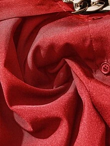 SHEIN Clasi Women Metal Decor Lantern Sleeve Blouse, Elegant And Stylish Fall Cloth For Women - Red - View 4