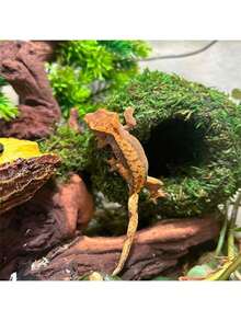1pc Mossy Caves, Artificial Green Moss Caves Hide For Pet Reptile Frogs And Snakes, Terrarium & Vivarium Decor, Crested Gecko Tank Decor (Woodland Green),Halloween Decor, Back To School, Fall Decor,Christmas Decorations,Wall Decor, Bedroom Curtains,