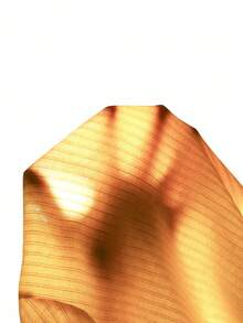 SHEIN Vintaside Kids 2-Piece Baby Girl Set Casual Cute Versatile Solid Color Short-Sleeved Top And Floral Embroidered Denim Overalls Set, Suitable For Spring And Summer Daily Wear Fall Winter - Yellow - View 8