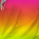 Multicolor