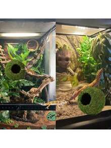 1pc Mossy Caves, Artificial Green Moss Caves Hide For Pet Reptile Frogs And Snakes, Terrarium & Vivarium Decor, Crested Gecko Tank Decor (Woodland Green),Halloween Decor, Back To School, Fall Decor,Christmas Decorations,Wall Decor, Bedroom Curtains,