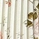 彩色