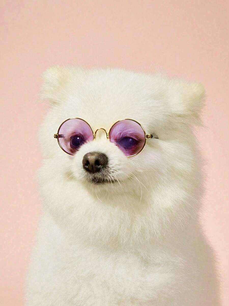 Zazumi Fun Hip-Hop Style Cat And Dog Sunglasses, Fashionable Pet Accessories, In Stock.