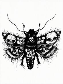 Y2Kool Robin 艺术家风格暗黑骷髅蝴蝶印花露脐背心，夏季适用，95%纯棉，适合假日、度假、春季、海滩、外出、音乐节、伊比沙岛等场合，秋季搭配灵感，休闲时尚服装系列，新年装扮，辣妹风印花上衣，白色上衣，春季女装，Y2K狂欢节服装。 - 白色 - 查看 2