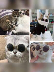Zazumi Fun Hip-Hop Style Cat And Dog Sunglasses, Fashionable Pet Accessories, In Stock.