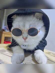 Zazumi Fun Hip-Hop Style Cat And Dog Sunglasses, Fashionable Pet Accessories, In Stock.