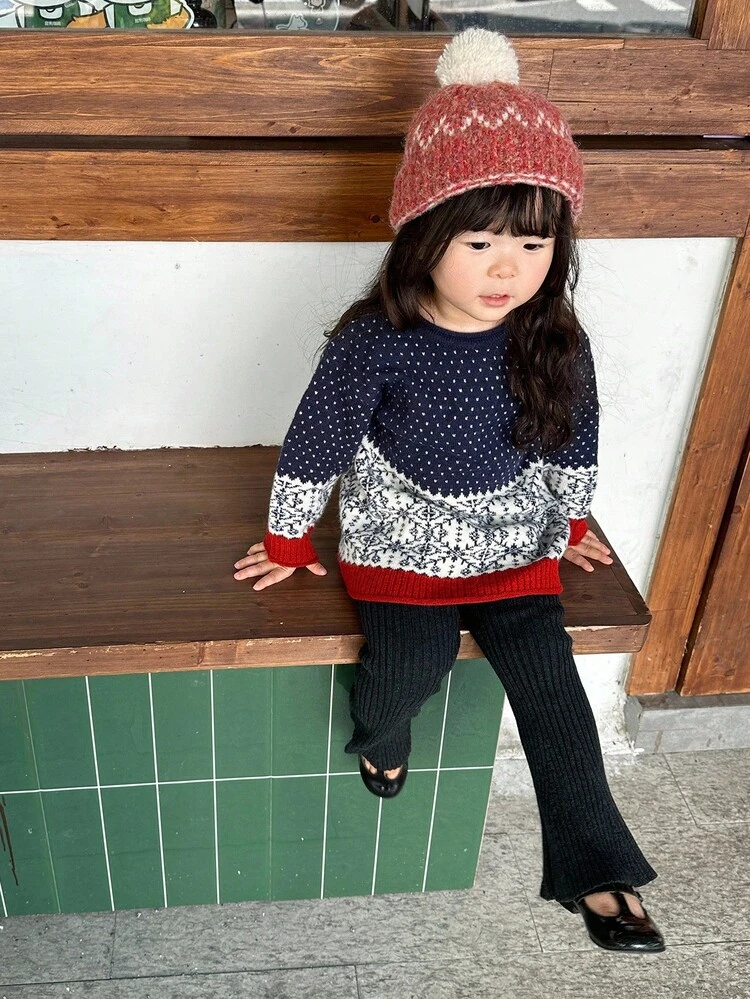 Baby Girl Colorblock Long Sleeve Casual Sweater, Autumn/Winter Toddler Girls Clothes