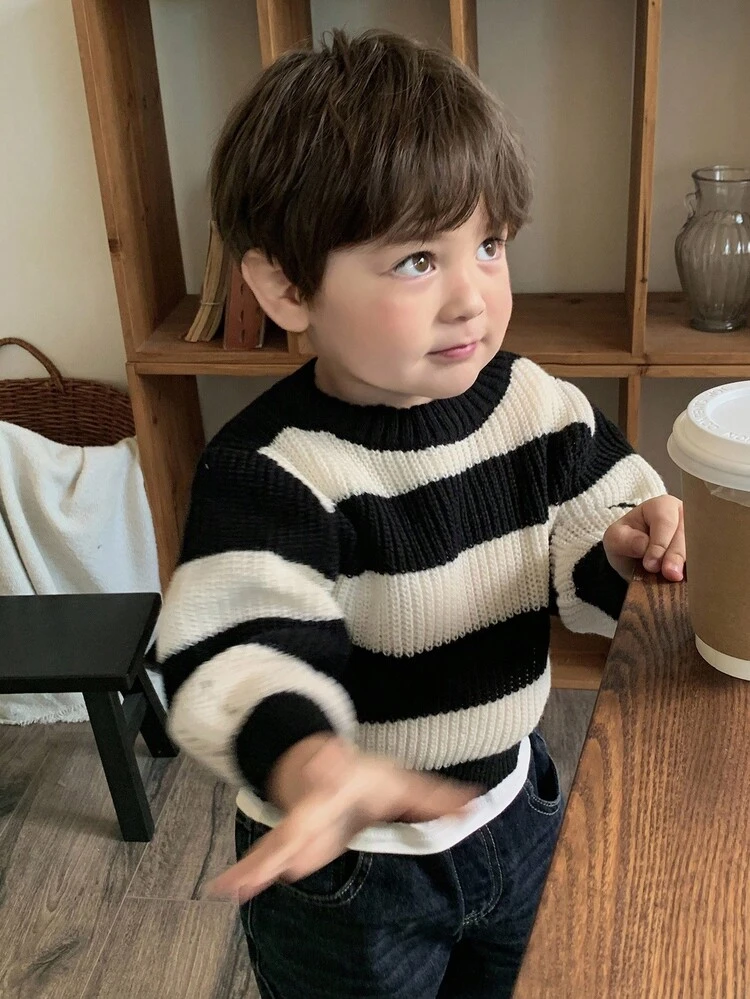 Toddler Boys' Casual Striped Crew Neck Loose Fit Knit Sweater, Autumn/Winter