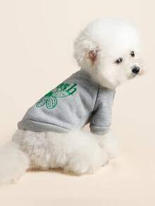 PETSIN 1 Stück universelle Haustierkleidung für Katzen und Hunde, bequemer Pullover für den Frühherbst, lässiges Outfit mit besticktem Rundhalsausschnitt für Herbst und Winter - Grau - Übersicht 4